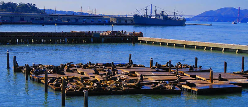 San Francisco Bay View